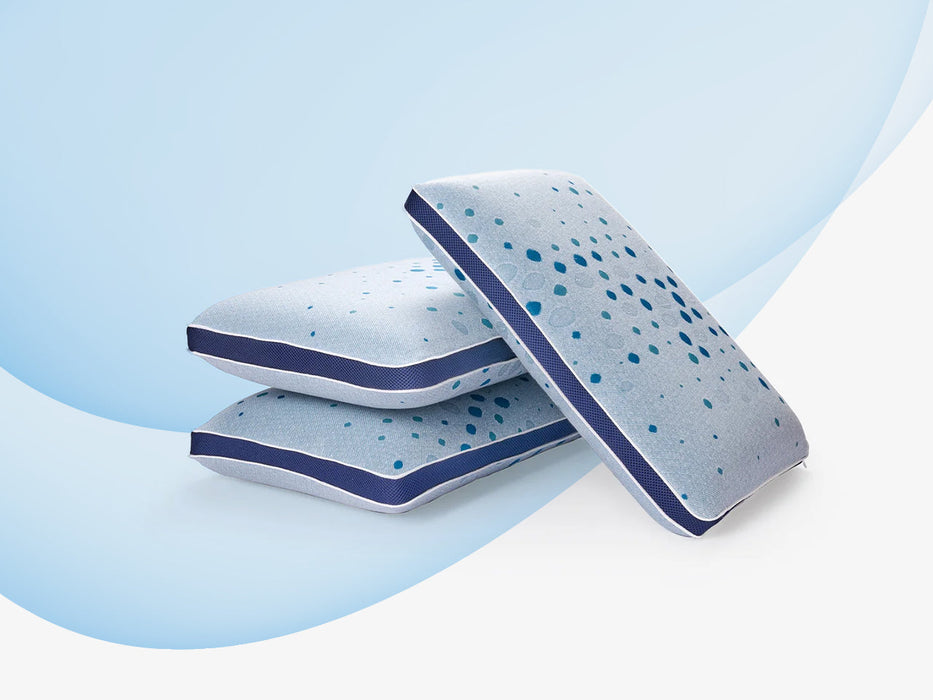 Latex Plus Regular